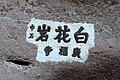 明代呂懷題字