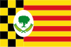 Flag of Alcampell/El Campell