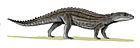 Comahuesuchus brachybuccalis