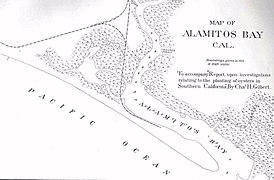 1889 map of Alamitos Bay by Charles Henry Gilbert