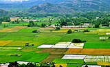 CE13. As seen in the picture, farms in India are fragmented into small holdings of less than 2 hectares each. This contibutes to low agricultural productivity in India.
