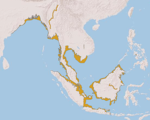 Irrawaddy dolphin range