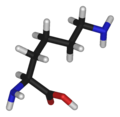 L-Lysine