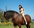 Random naked horse riding