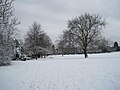 The park in snow