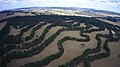 Image 75Contour planting integrated with animal grazing on Taylor's Run farm, Australia (from Agroforestry)