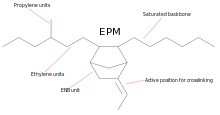 The skeletal formula of ethylene propylene rubber (EPDM)