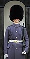 A sentry of the Coldstream Guards dressed in his watchcoat. (2011)