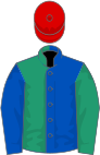 Royal blue and emerald green halved, sleeves reversed, red cap