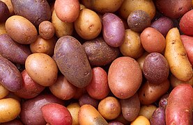 Potatoes