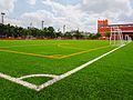 Artificial Turf Football Field