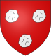 瓦-瓦孔徽章