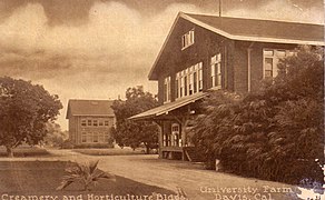 Creamery and Horticulture buildings, University Farm at Davis (between 1910 and 1923)