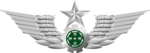 陸軍胸標