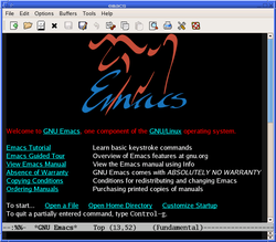 GNU Emacs 23.1.1，首个在X窗口系统上支持抗锯齿的版本。