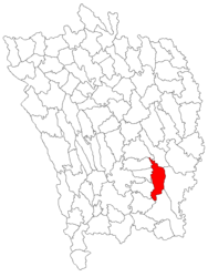 Location in Vaslui County