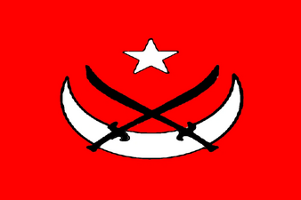 Frictional Flag of the Ghurid dynasty (879–1215)