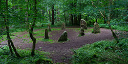 Standing stones in Ravensdale Forest