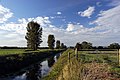 Image 2The River Brue in an artificial channel draining farmland near Glastonbury (from Somerset)