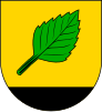 Coat of arms of Březová