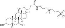 Structural formula of CHAPS detergent