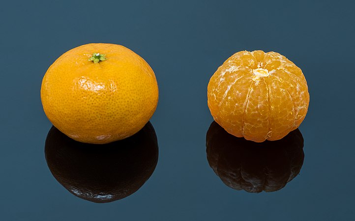 未有去皮（左）与已去皮（右）的克里曼丁红橘。