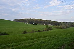 Fields southwest of Chicora