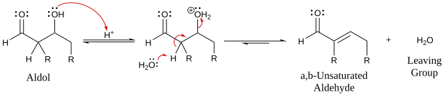 Mechanism for acid-catalyzed dehydration of an aldol