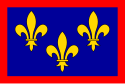 Flag of Anjou