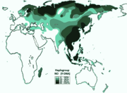 在东亚及欧亚大陆广泛分布的单倍群NO。单倍群O-M175的分布在东亚十分显著，而Y染色体N单倍群与O单倍群有共同祖先，分布在印尼、中国、柬埔寨、菲律宾、马来西亚、缅甸、文莱、越南、哈萨克斯坦、蒙古、俄罗斯、土耳其、北欧斯堪的纳维亚半岛、日本列岛、朝鲜半岛等区域
