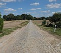 Cobblestone near Ruester Krug