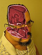 MRI self portrait, the subject's MRI images incorporated into a picture of his head, by Tomas Diaz