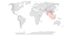 Map showing the range of Apis andreniformis