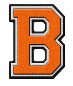 Baltimore City College boys' basketball logo