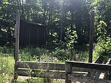 A view of the tool shed and dressing room backstage at the Open Air Theatre. The ground has been eroded due to repeat flooding, and large overgrowth has taken root. One of the buildings is obscured from view by new foliage.