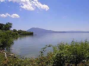 清水湖（英语：Clear Lake (California)）