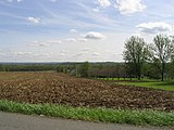 Lysander countryside in the spring