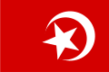 伊斯蘭民族旗幟