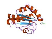 1sen: Endoplasmic reticulum protein Rp19 O95881