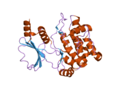 1yhv: Crystal Structure of PAK1 kinase domain with two point mutations (K299R, T423E)