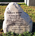 Sakura Grove