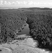 Lake Matheson from the air, 1960