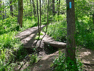 B trail crossing a small gully with log bridge