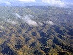 Bohol interior