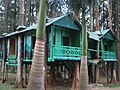 Tree houses at the Araku Valley hill station in Andhra Pradesh