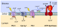 2009年11月3日 (二) 14:31版本的缩略图