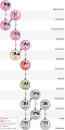 2015年3月15日 (日) 11:08版本的缩略图