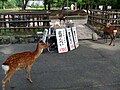 於 2007年9月13日 (四) 14:52 版本的縮圖