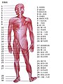 2021年1月16日 (六) 06:37版本的缩略图