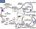 於 2006年6月3日 (六) 09:15 版本的縮圖